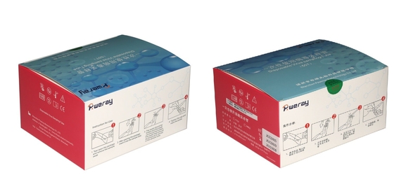 3ML یکبار مصرف کیت تست VTM نمونه‌برداری ویروس برای کووید-19