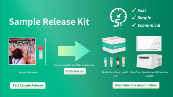 کیت خانگی تست PCR تایید SGS استخراج DNA و RNA برای کووید-19