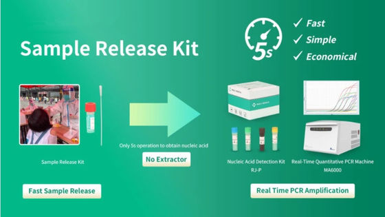 نمونه ویروس PCR کیت آزمایش سریع DNA Release Reagent تایید FDA