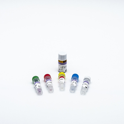 DNA RNA PCR Reagent Kit 48 Tests/Kit پزشکی با قابلیت اطمینان بالا