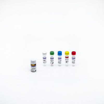 استخراج اسید نوکلئیک ویروسی فلورسنت گواهی SGS برای کووید 19