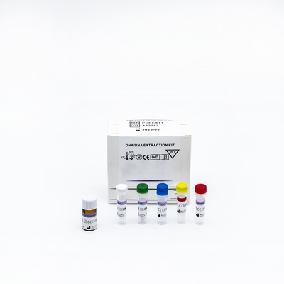 Fluorescence Real Time PCR Reagent Kit گواهی SGS